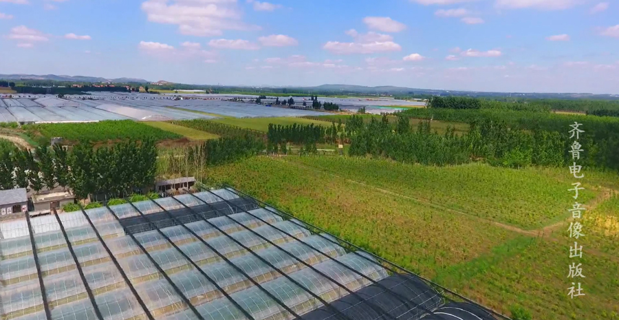 節水(shuǐ)公益廣告——農(nóng)業篇